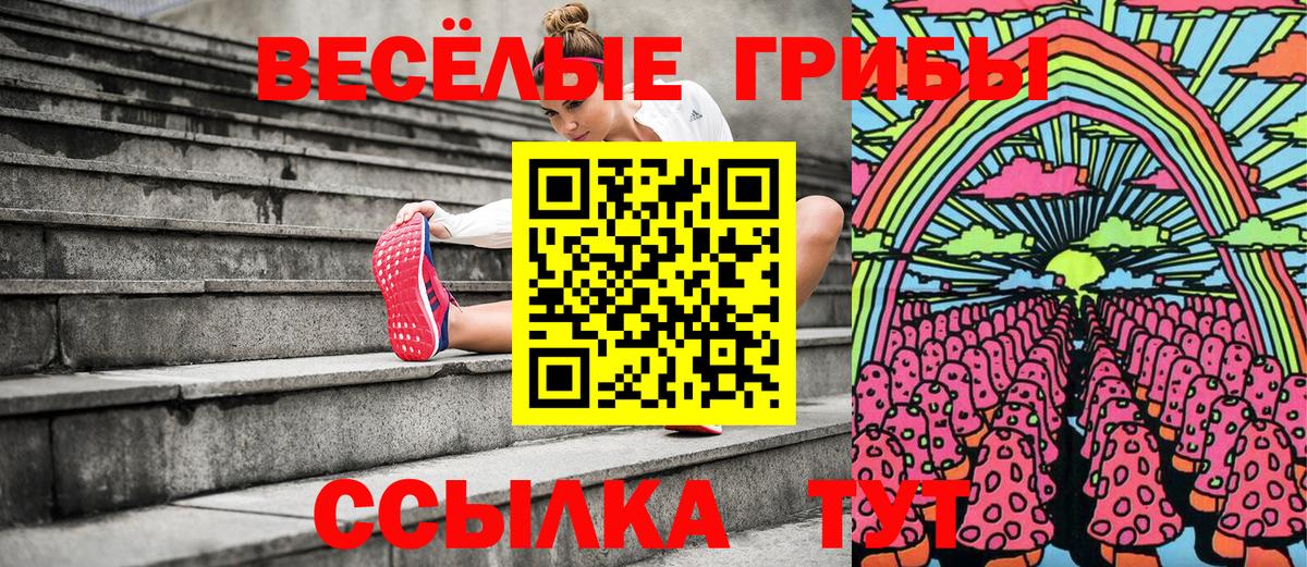 закладки  Вход с VPN  Звенигород  Псилоцибиновые грибы GOLDEN TEACHER 